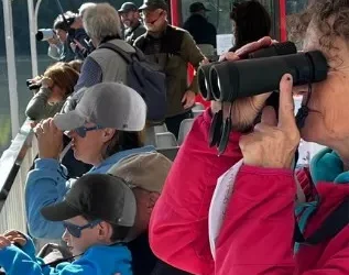 Croisières ornithologiques – avril à septembre 2026