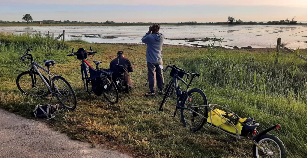 Inffauna Fr Veloiseau Paysages 274